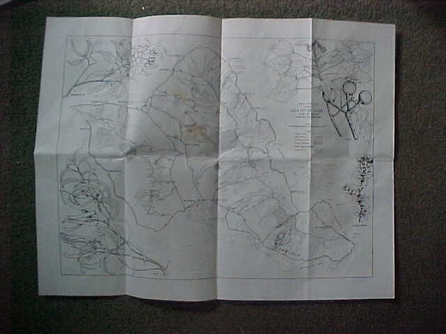 Vintage Map of Oahu Forest Trails -f " State Of Hawaii" Forestry Division