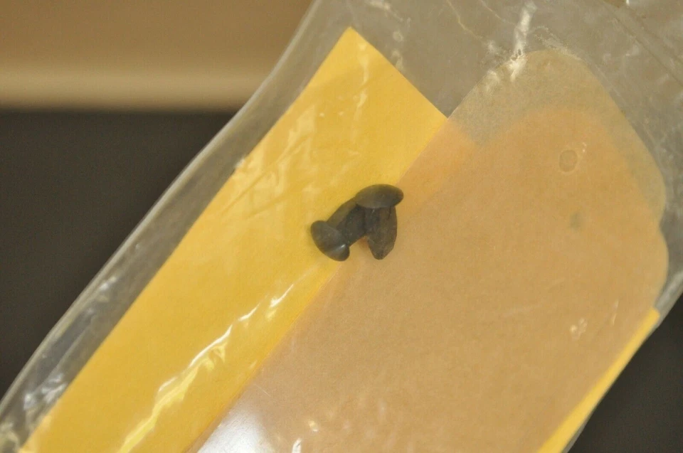 Gafas de colección NOS MXL Hydron System 600 700 800 lengüeta abatible rasgado cantidad de 5 Foto 3 de 4