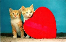 Orange Kittens With Heart Postcard Unused (33646)