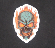 Colorful Crazy Cool Creepy Evil Skeleton Sticker 2.5" x 1.75" Q