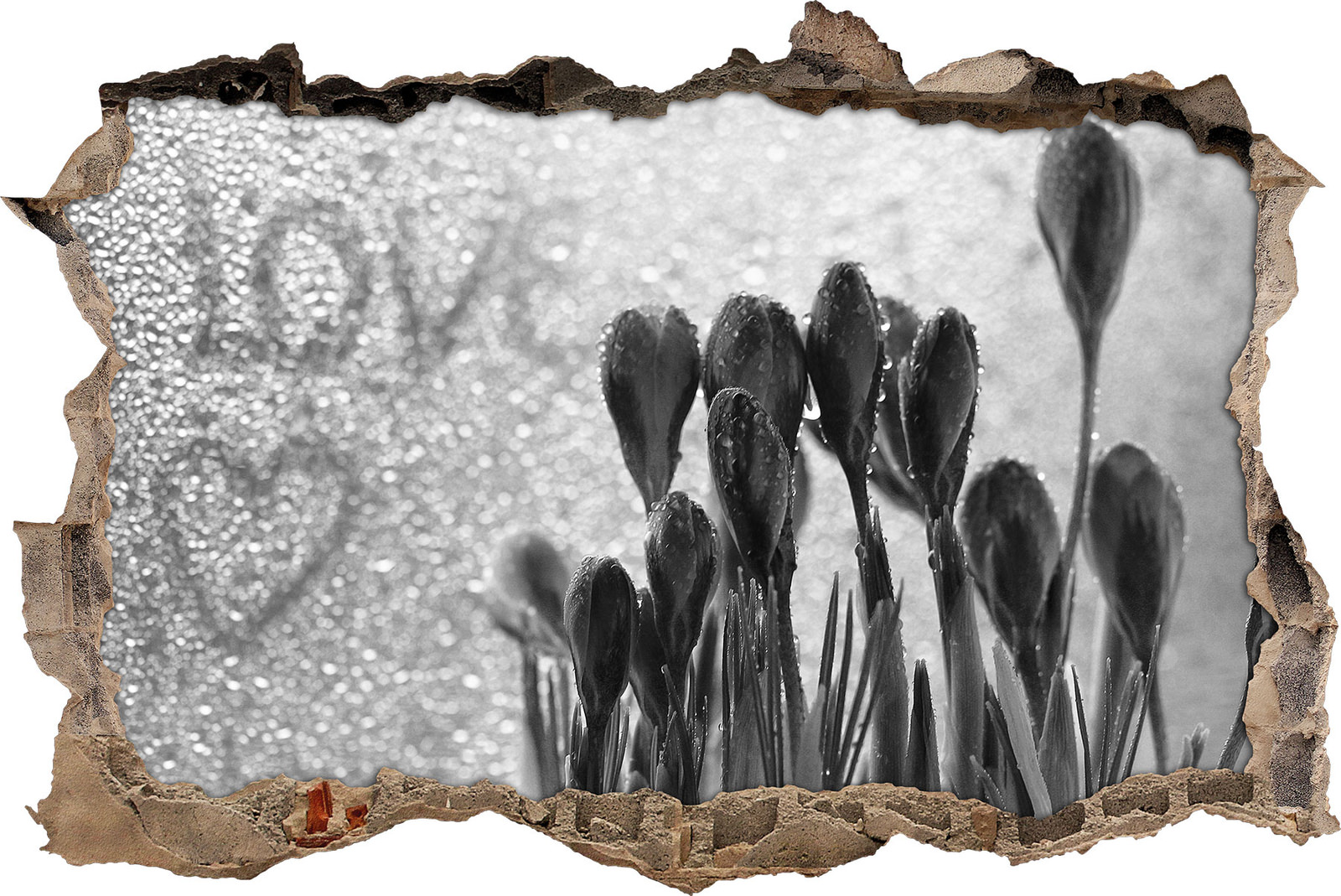 Flores De Primavera Love Gotas De Agua Arte B&W - Look 3D A Través De La Pared