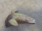 Bild 7 von 11