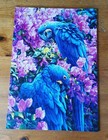 Bild 2 von 5