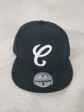 Chicago White Sox Collecting and Fan Guide 32