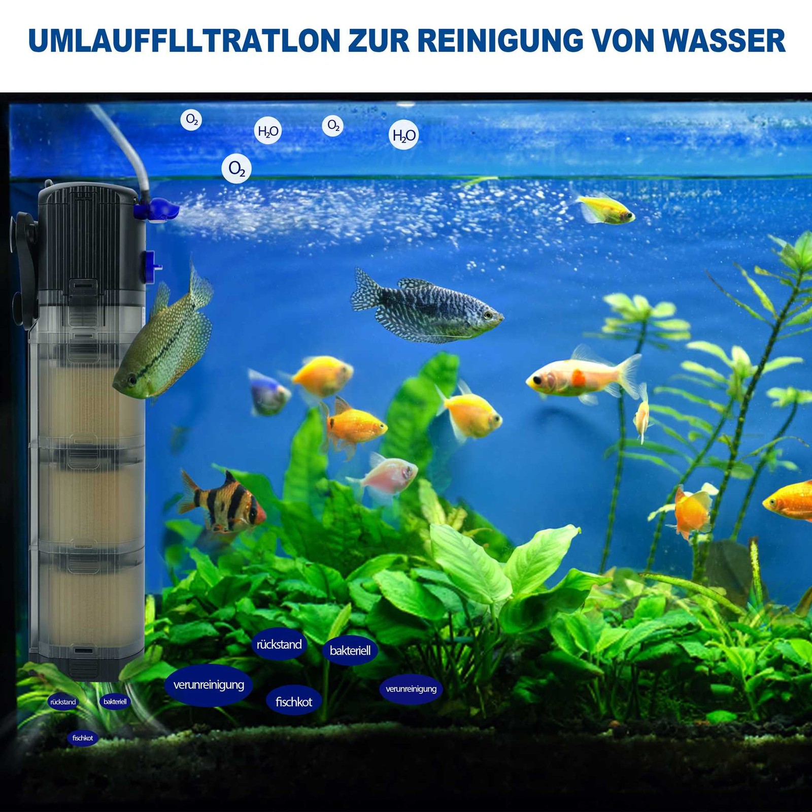 Filtro interno acquario filtro acquario 1500 L/H filtro sistema di filtraggio pompa acqua DE foto 4