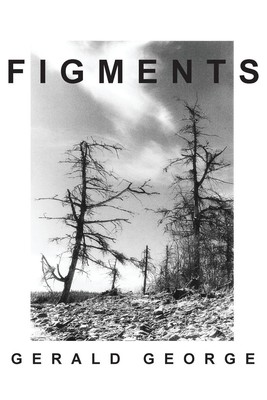 Figments | Gerald George | Taschenbuch | Englisch | 2014 | RiverRun Select
