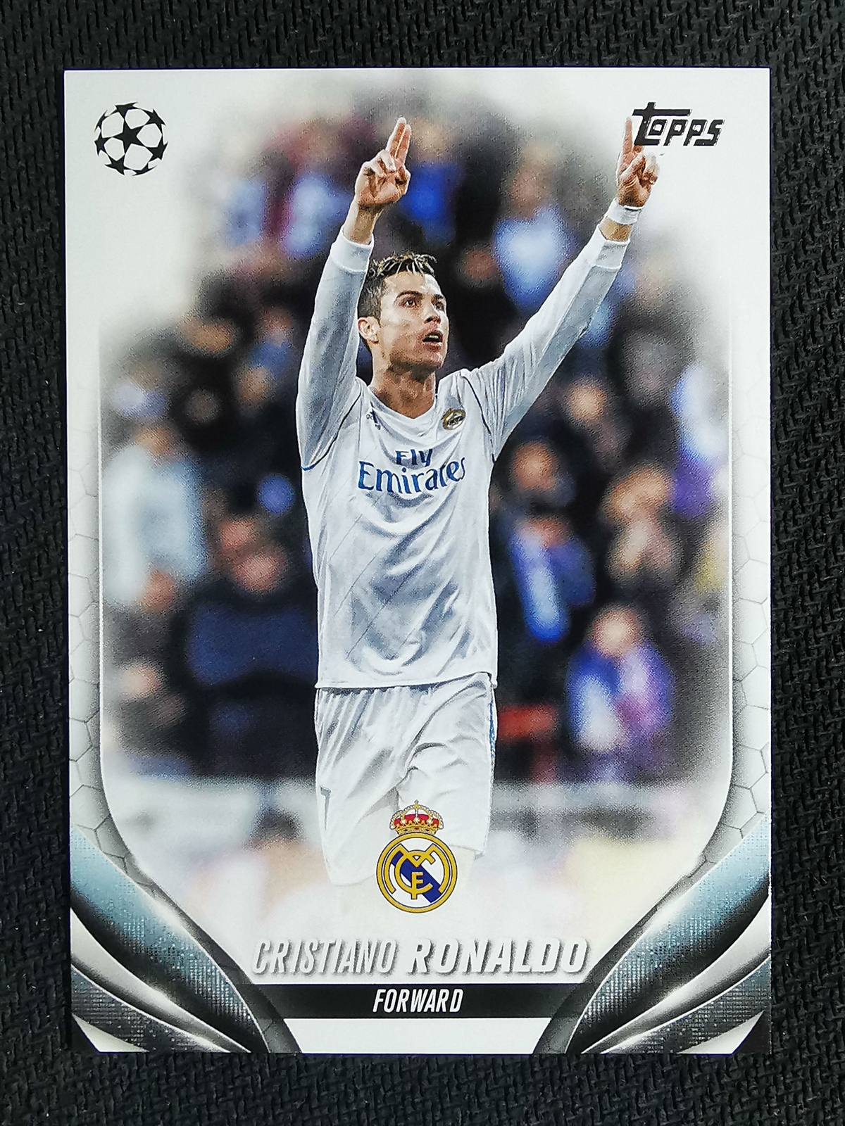 ウルフズヘッド・ケルト＆コブラWネームタイプ スタッズブレスレット リストバンド ウルフズヘッド・ケルト＆コブラWネームタイプ スタッズブレスレット