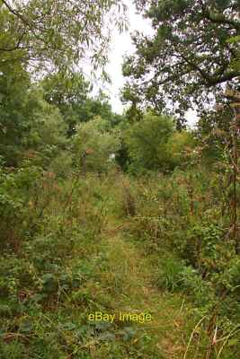 Photo 6x4 Bridleway to Willowbrook Farm Steventon The bridleway follows t c2011
