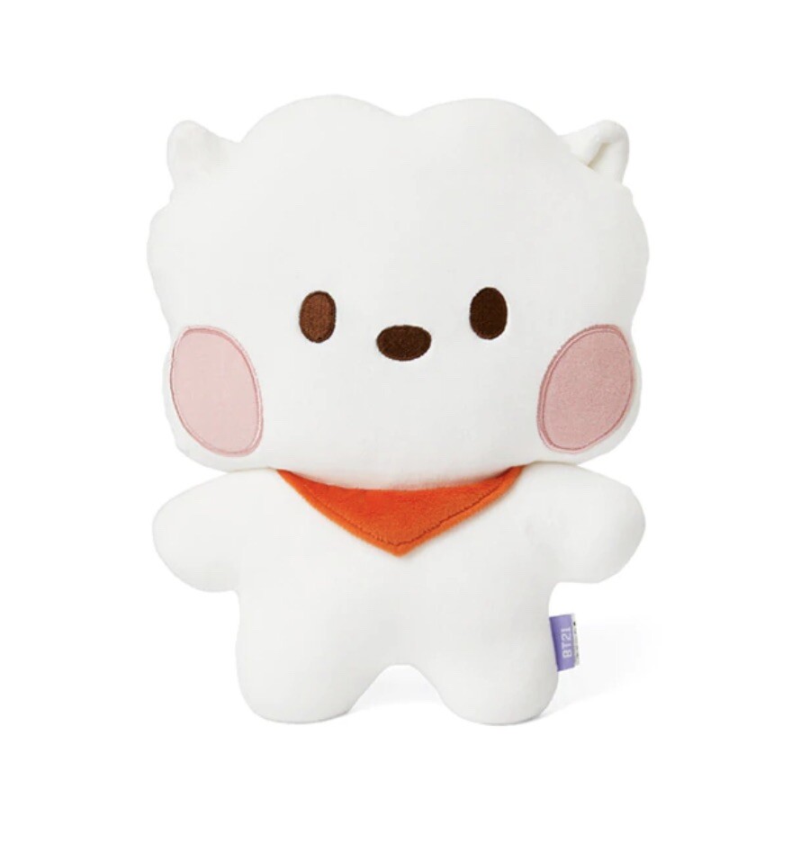 BTS Official Line Friends BT21 RJ Jin minini Buddy FLAT CUSHION