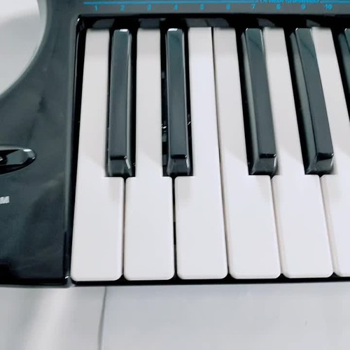 Roland AX-Synth Keyboard Synthesizer Z8C4025 schwarz mit Netzteil - Video 1 von 1