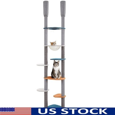 Floor-to-Ceiling Cat Tree W/ 6 Scratching Posts Clear Bed Multi-Level Pet Tower
