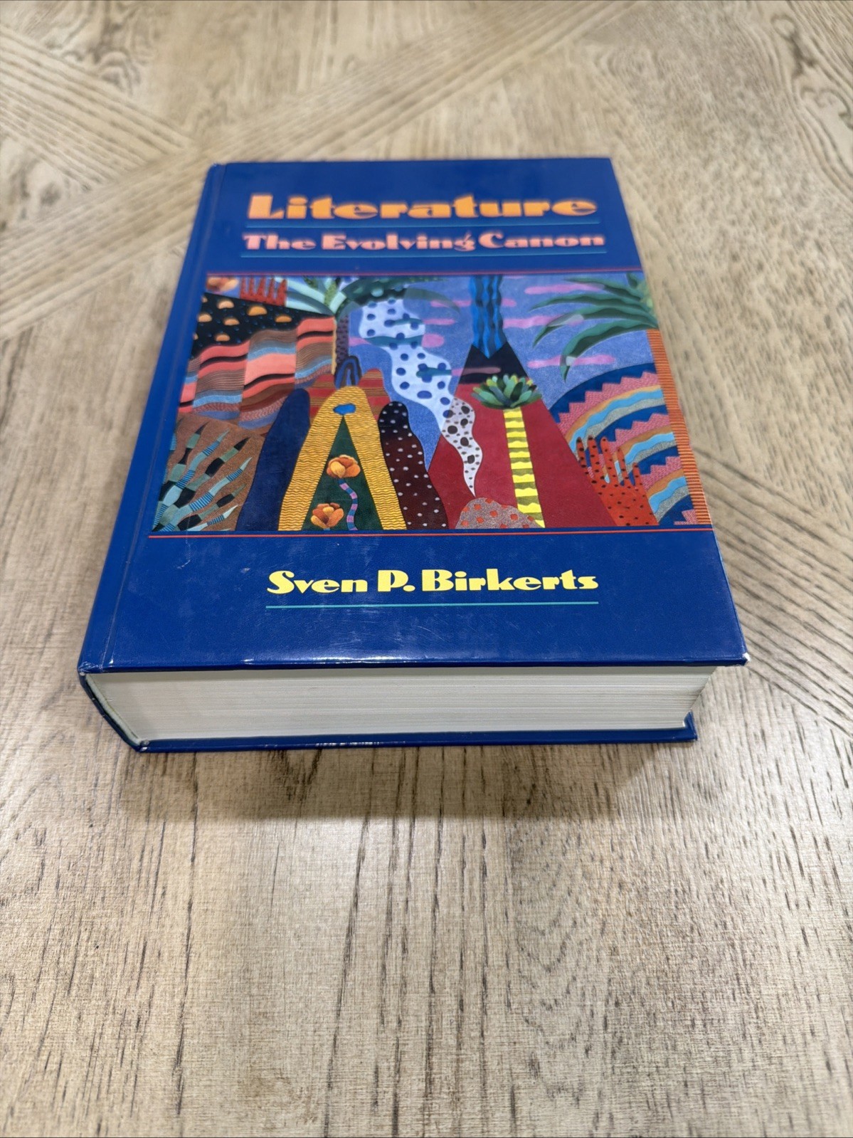 Literature The Evolving Canon Sven P Birkerts Hardcover Textbook Book