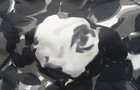 Bild 8 von 10