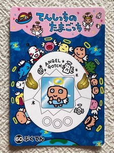 Angel Gotch | eBay