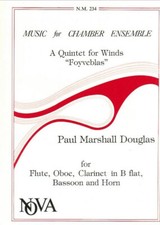 Learn to Play woodwind Instruments - A Quintet for Winds "Foyveblas"!!