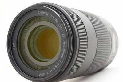 Canon EF 70-300mm F4-5.6 IS II USM Lens | eBay