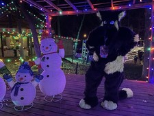 Cat Full Fursuit 2XL Sewn Detachable Tail Puys Paws For Hands And Feet