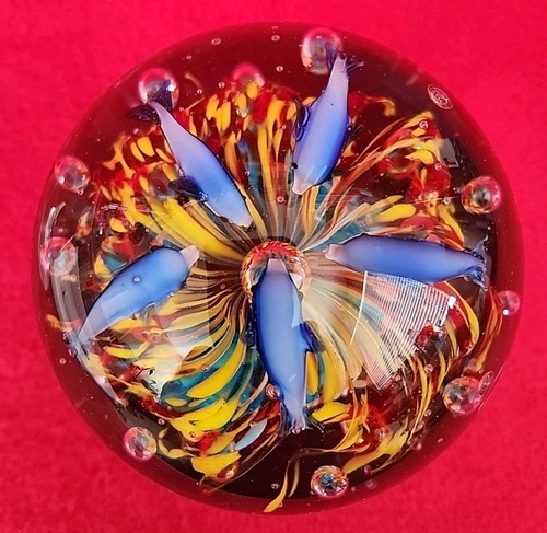 Murano Glass Ball Tropical Reef Dolphin Fish Sculpture Aqua Paperweight Italy - Picture 3 of 10