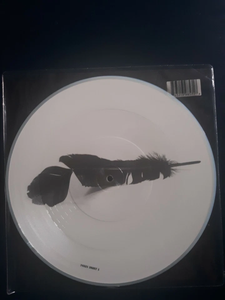 Black Crowes One Mirror Too Many 1996 LtdEd 10" Picture Disc UK Import Rare - Image 4 of 4