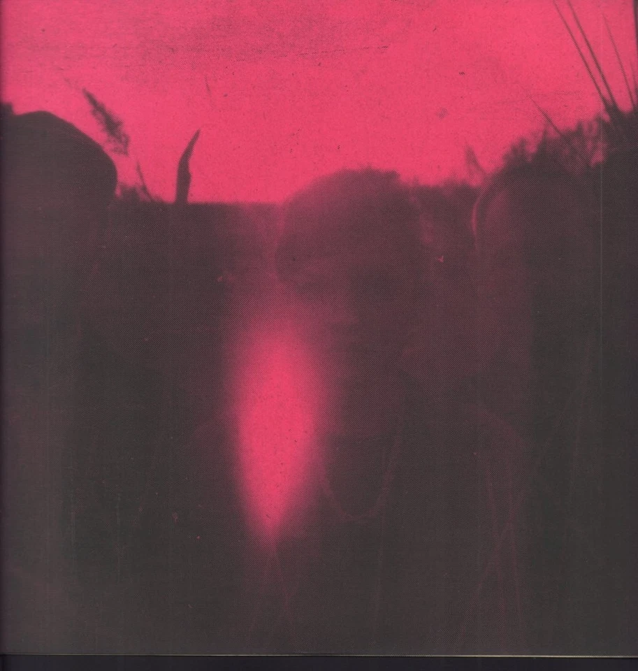 Chvrches Bones of What You Believe LP vinyl UK Virgin Emi 2013 with inner sleeve - Photo 3/4