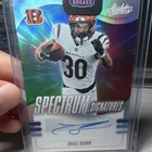 2025 Panini Absolute Chase Brown Base (RAW)