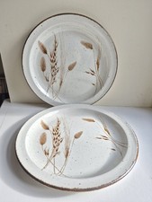2 X Midwinter Stonehenge WILD OATS 10.5" Dinner Plates Retro Vintage