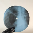 PINK FLOYD FAT OLD SUN X-Ray USSR Record Roentgen Bone Ribs Music Vinyl