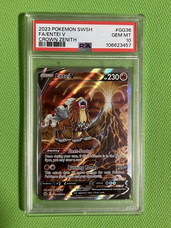 Entei V