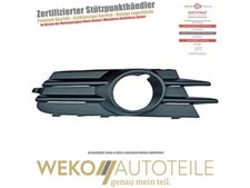 Lüftungsgitter, Stoßfänger links DIEDERICHS 2251049 für VW