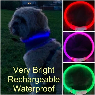 Light Up Dog Collar Pet Flashing LED USB Rechargeable Safety Size Adjustable UK