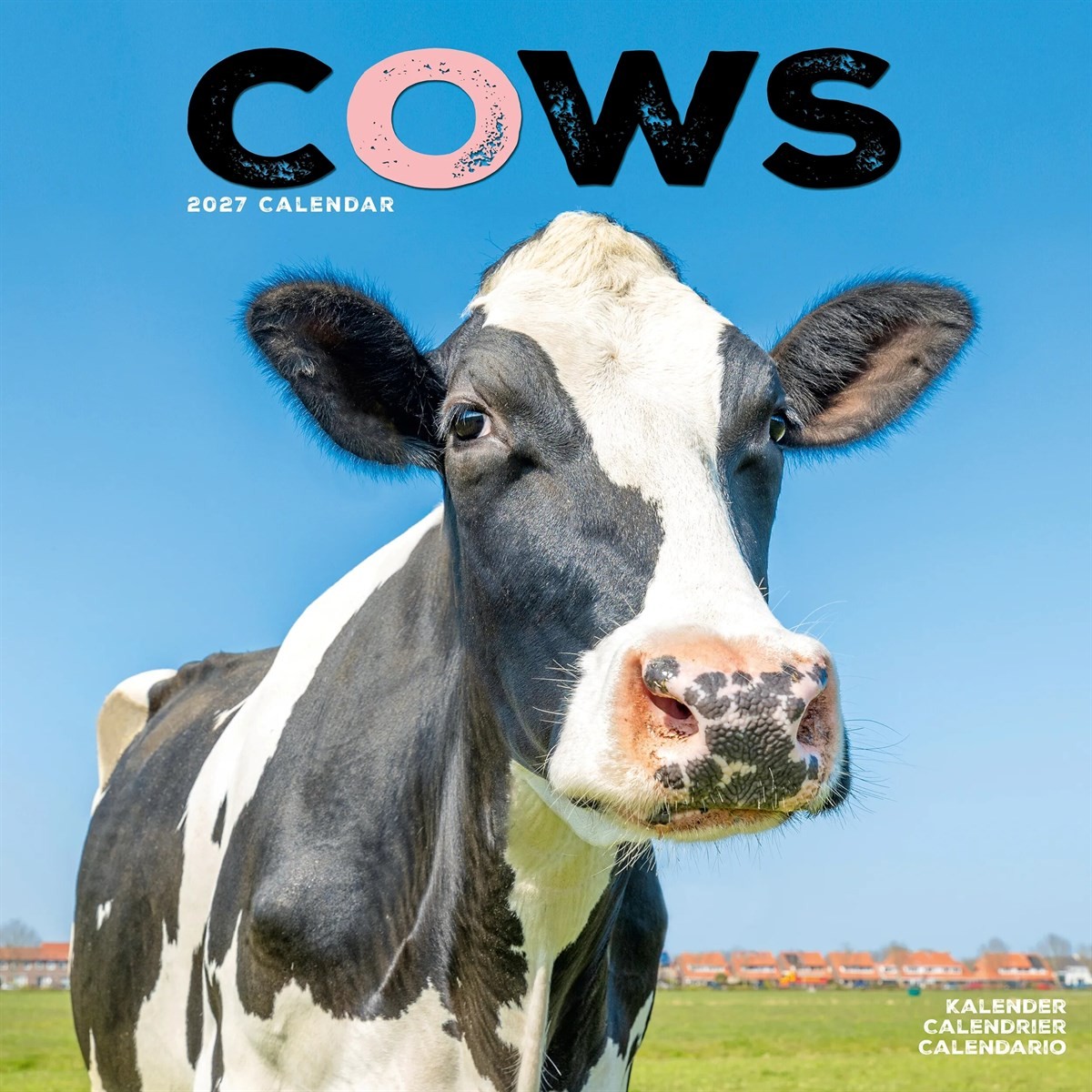 Rackhams Cows Calendar 2027, Wall Calendars, Month To View, Animals, Gift - Image 5