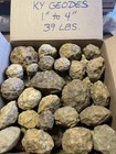 LARGE FLAT RATE BOX OF KENTUCKY GEODES:VARIOUS SIZES-1” TO 4”. LAPIDARY! 39 LBS. — photo 1