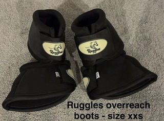 Mini Shetland Ruggles Over Reach Boots Size XXS Set Of 2! Brand New!