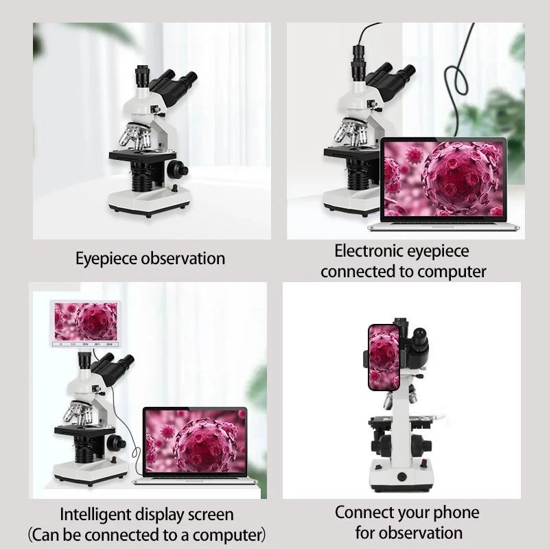 M83EZ11 40 X -5000 X 三筒望远镜 LED 实验室复合显微镜带双层Ele — 第 4/4 张图片