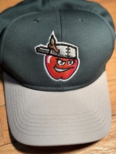 Fort Wayne Tincaps Hat Baseball Cap Green Red Apple Logo Adjustable Strap MiLB