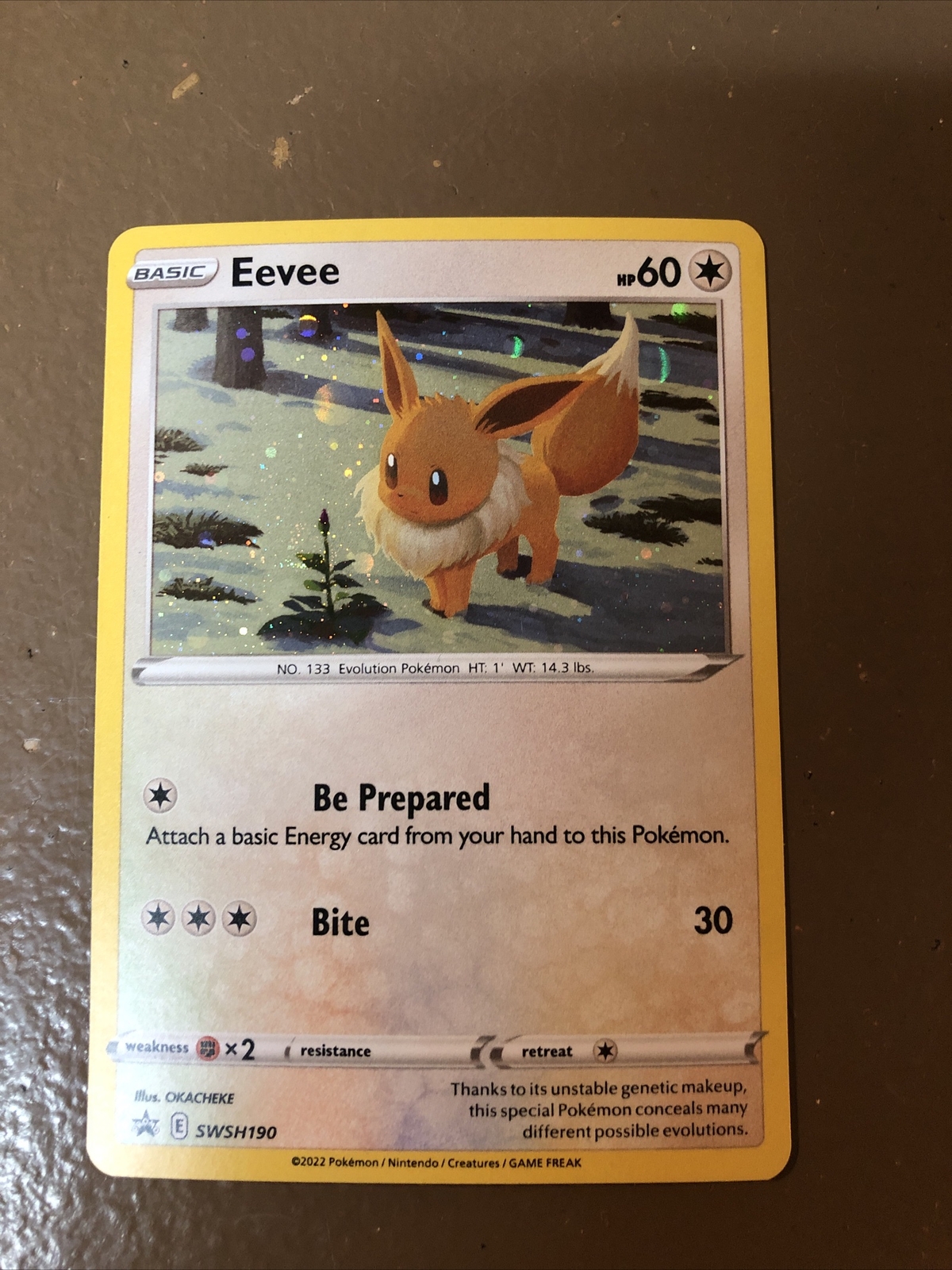 Pokémon TCG Eevee SWSH Black Star Promos SWSH190 Holo Promo MINT
