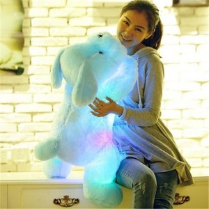 Plush Dog Led Light Stuffed Toy Night Lovely Creative Glow Animal Kids Gift Soft | eBay