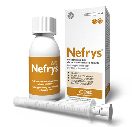 Innovet NEFRYS 100 ml per Cani Gatti ⇢ Benessere vie urinarie alte di CANE GATTO