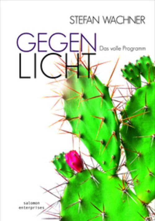 GEGENLICHT - Das volle Programm - Bild 2