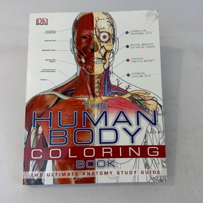 Human Body Coloring Book New! Anatomy book Coffee table Book Large Fast Ship