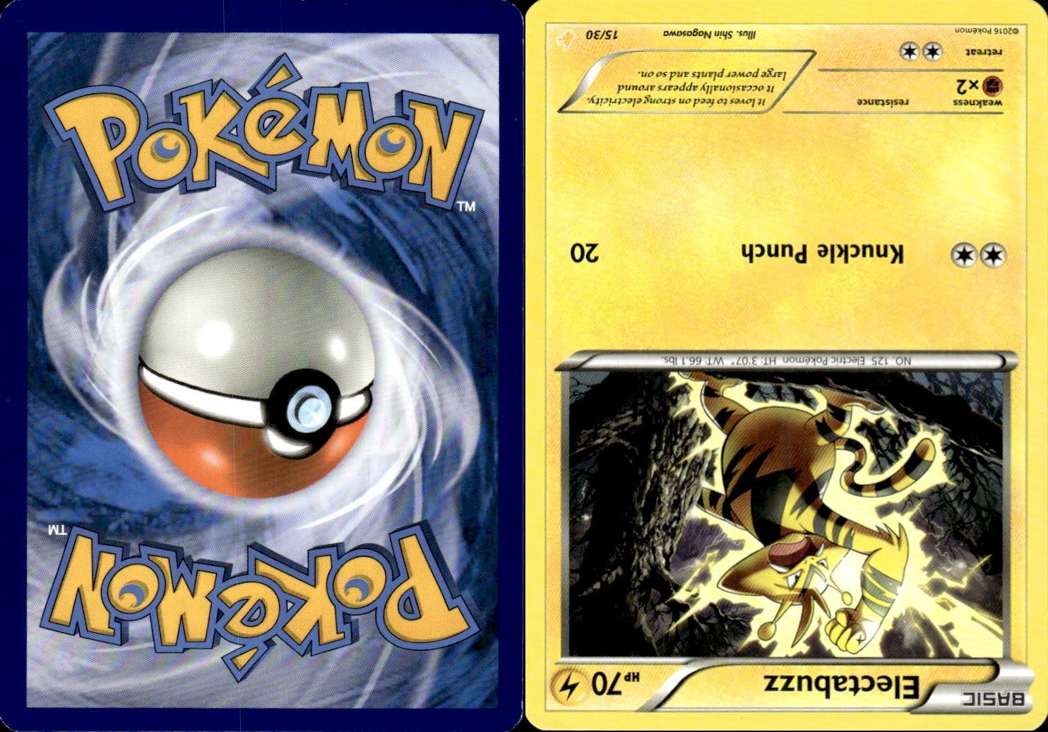 Pokemon Electabuzz (15) Common 15/30 XY Trainer Kit: Pikachu Libre & Suicune NM