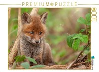 Calvendo Puzzle A Motif From The Calendar Foxes - Magical Souls | 1000 Pieces, F