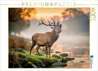 Calvendo Puzzle Up Close With Wildlife: Nature That Moves You. | 1000 Pieces, Fi