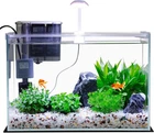 3 Gallon Glass Small Fish Tank, Betta Fish Tank Starter Kit with Filter, Lights,