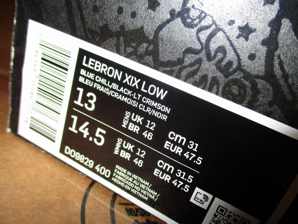 SALE NIKE LEBRON 19 LOW BLUE CHILL BLACK LIGHT CRIMSON DO9829 400