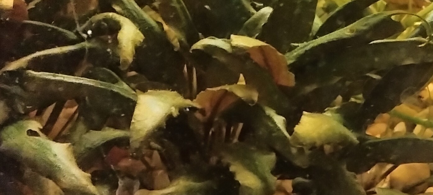 Picture 1 of 8