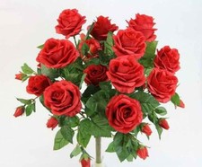 10 EXOTIC RARE ROSE SEEDS home garden flower plant bush flower seeds