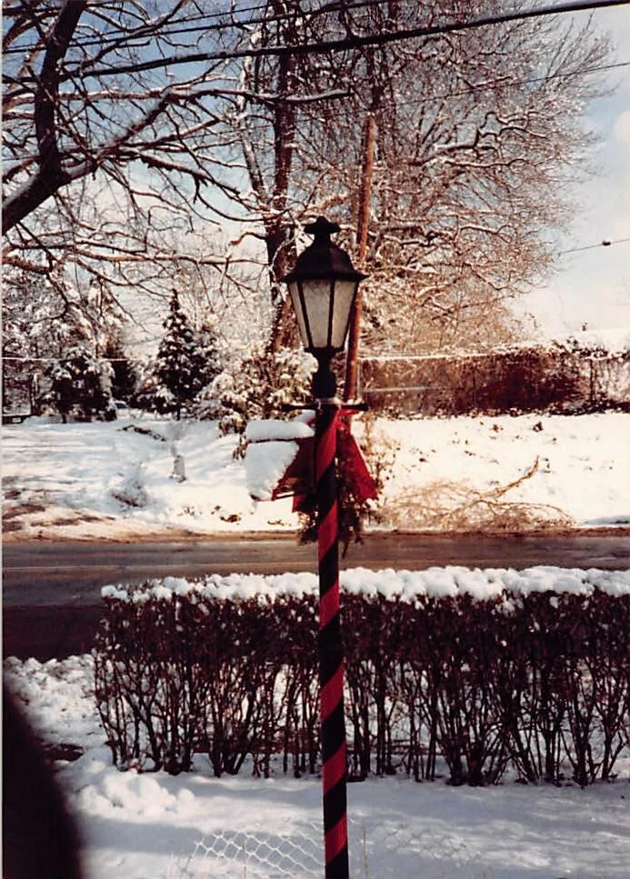 1980s Original Color Photo 3.5x5 Street Light Lamp Winter Snow F50