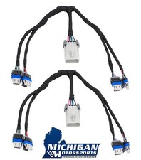 BP Automotive Coil Pack Harness Pair for BTR LS Valve Covers Brian Tooley Racing