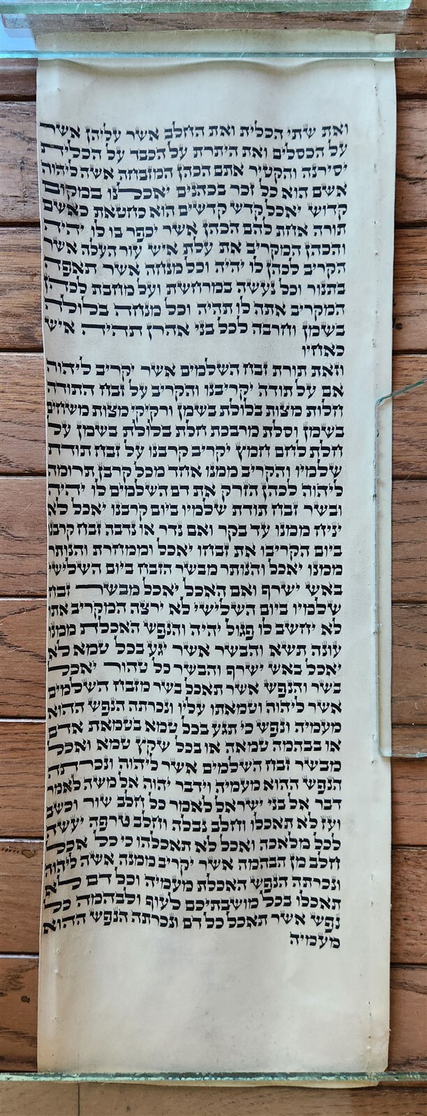 Bild 2 von 6
